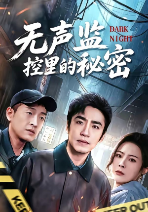 无声监控里的秘密（84集）精彩热门短剧
