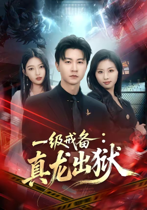 一级戒备：真龙出狱（73集）在线播放