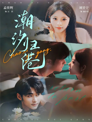 潮汐归港（66集）精彩短剧来了