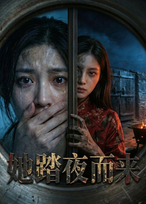 她踏夜而来（40集）口碑爆棚免费看