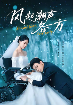 风起潮声各一方（84集）免费热门短剧