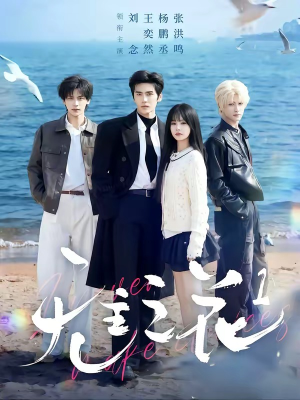 无主之花1（72集）精彩短剧下载