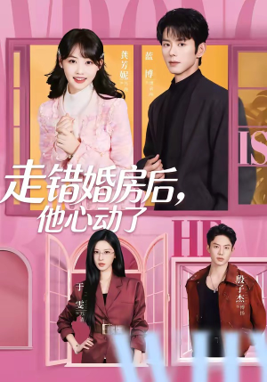 走错婚房后，他心动了（72集）热门短剧大全