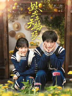 败犬与天鹅颈（71集）精彩短剧来袭