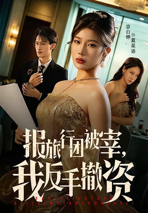 报旅行团被宰，我反手撤资（59集）免费版