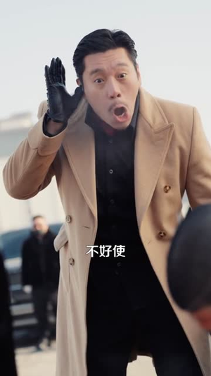 猛龙过江2：龙争虎斗（54集）短剧全集完整
