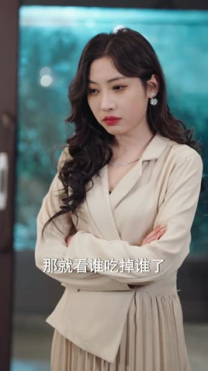 龙婿归来，我给总裁老婆当司机（80集）原创精彩短剧