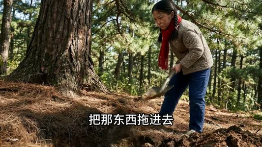 后山秘事（40集）短视频追剧推荐