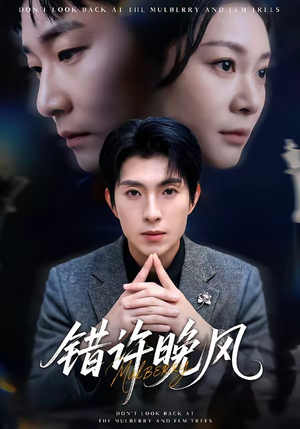 错许晚风（60集）我全都看完了