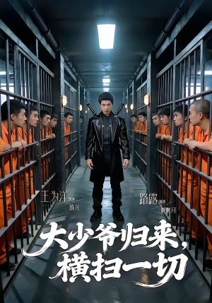 大少爷归来，横扫一切（80集）看到了大结局