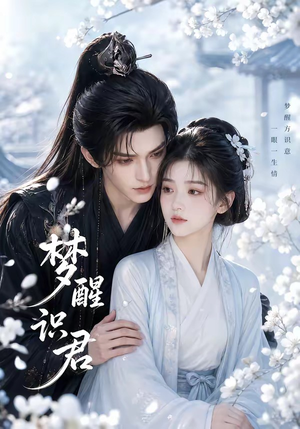 梦醒识君（16集）海量资源免费看