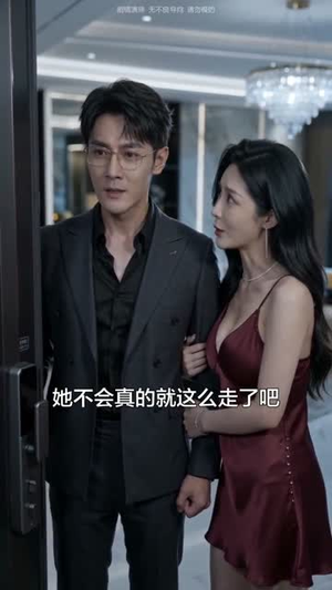 一婚两散，此生不相逢（33集）一起追生活短剧