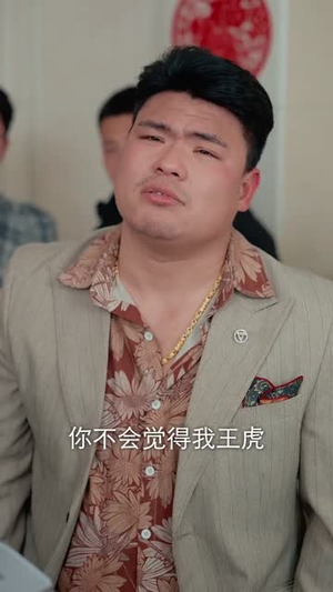 下乡提亲，为老婆压上一切（50集）在线看到大结局