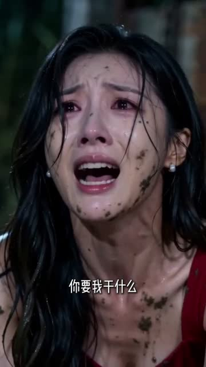 虾王崛起，逆袭全球（35集）精彩的网络短剧