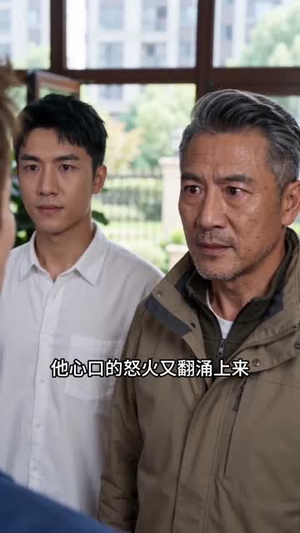 行长不懂事，我直接抽走两亿（28集）短剧每日分享