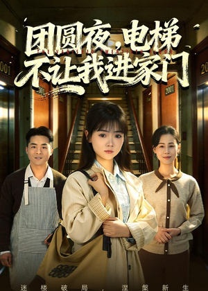 团圆夜,电梯不让我进家门(52集) 团圆夜,电梯不让我进家门(52集)全网短剧抢先看