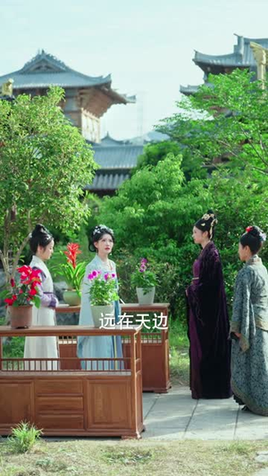 凤卷朝堂（61集）360网盘观看