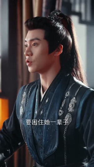 将军请自重（81集）怎么看全集