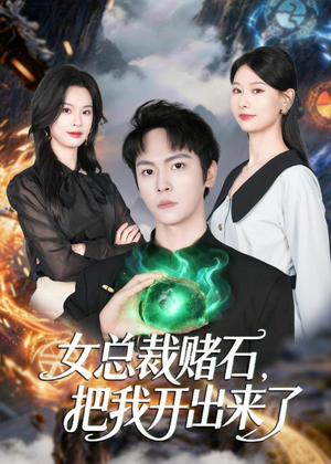 女总裁赌石，把我开出来了（76集）最新火爆短剧
