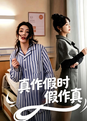 真作假时假作真（60集）全集我都看完了