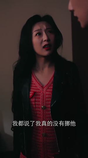 惊心记（40集）短剧排行榜