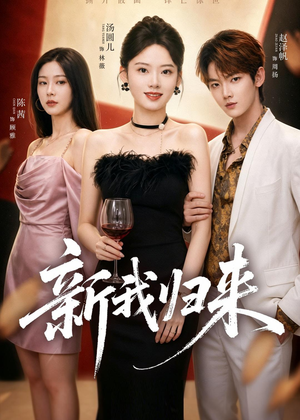 新我归来（52集）免费在线看全集