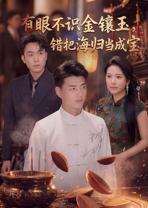 有眼不识金镶玉错把海归当成宝（80集）在哪里可以看