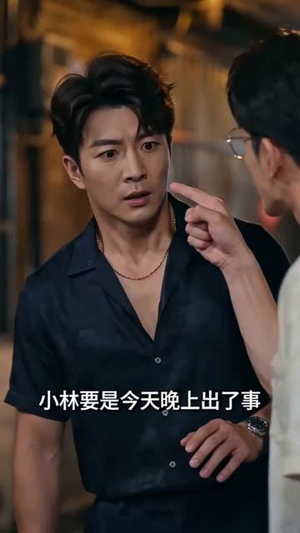 十年客情，一掌成空（29集）全集免费观看
