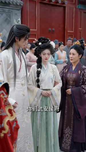 白轿迎亲,我转身嫁了少年将军(50集) 白轿迎亲,我转身嫁了少年将军(50集)百度网盘在线看