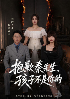 抱歉秦先生，孩子不是你的（53集）短剧追不停