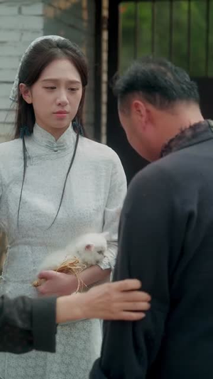 我的猫不好惹(42集) 我的猫不好惹(42集)在线观看完整版