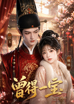 曾得一宝(19集) 曾得一宝(19集)免费看短剧