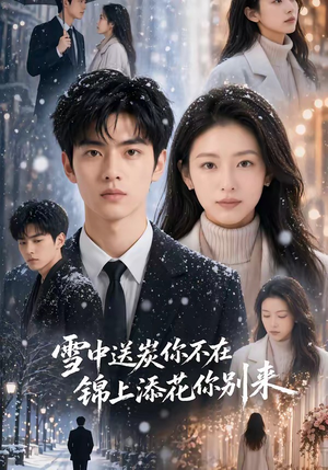 雪中送炭你不在，锦上添花你别来（60集）百度网盘资源
