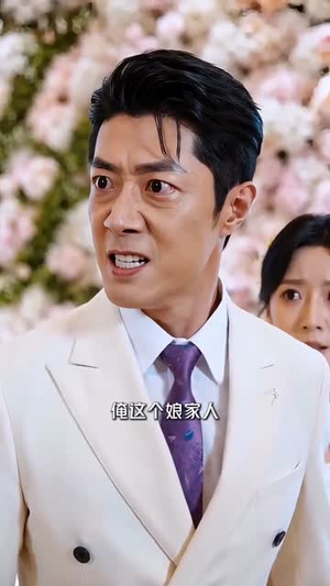 厨神从乡下来（48集）全季一次看完