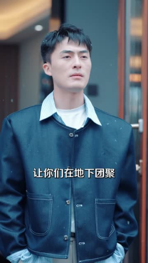 开局赘婿，系统你自己卸载了吧（67集）在线看