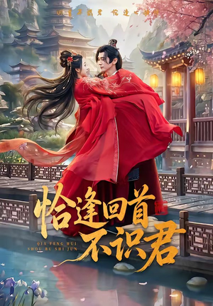 恰逢回首不识君(72集) 恰逢回首不识君(72集)排行榜前十短剧
