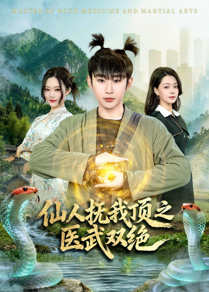 仙人抚我顶之医武双绝（66集）短剧演员排行榜
