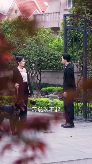 我的犬系男友（60集）百度网盘在线看