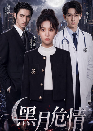 黑月危情(45集) 黑月危情(45集)演的怎么样