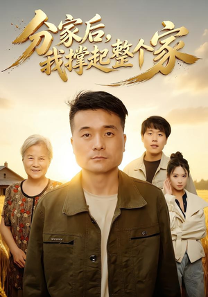 分家后我撑起整个家(61集) 分家后我撑起整个家(61集)评价怎么样