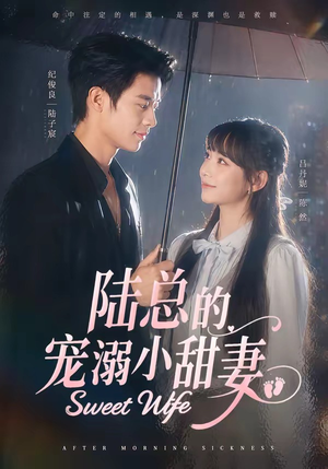 陆总的宠溺小甜妻（61集）最新短剧抢先看