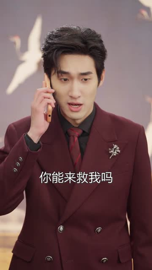 穿越当总裁,我靠昏君系统称霸(80集) 穿越当总裁,我靠昏君系统称霸(80集)好看的短剧电影