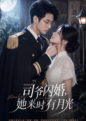 司爷闪婚,她来时有月光(93集) 司爷闪婚,她来时有月光(93集)全网短剧抢先看