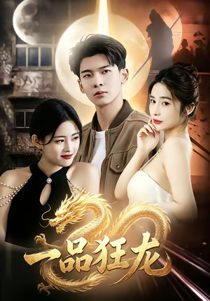 一品狂龙（68集）在线看