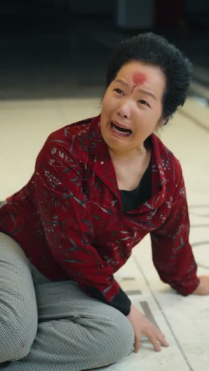 邻居请自重，私桩不外借（45集）在线看