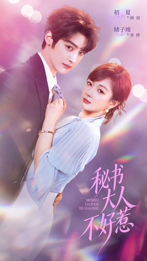 秘书大人不好惹（62集）小短剧抢先看
