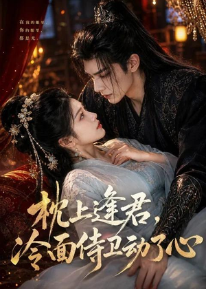 枕上逢君,冷面侍卫动了心(92集) 枕上逢君,冷面侍卫动了心(92集)红果免费看短剧