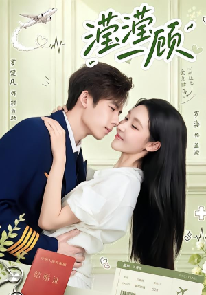 滢滢一顾（70集）在哪个app能看