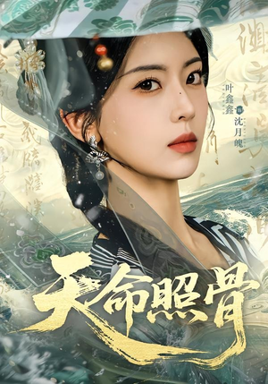 天命照骨（81集）口碑之选免费看