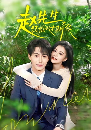赵先生结婚证过期不候（50集）在哪个app能看